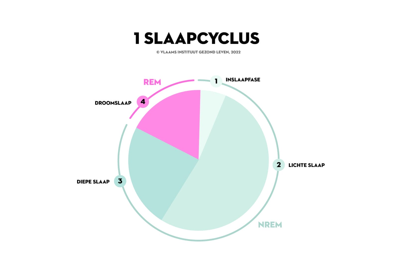 slaap cyclus